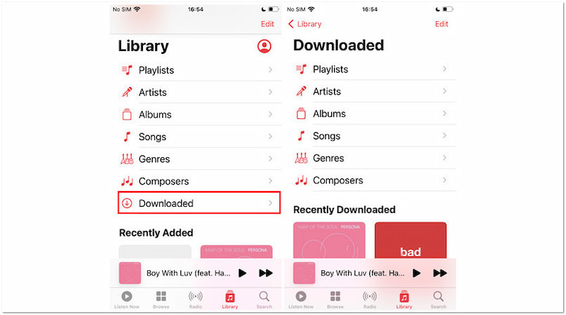 Check Downloaded Tracks