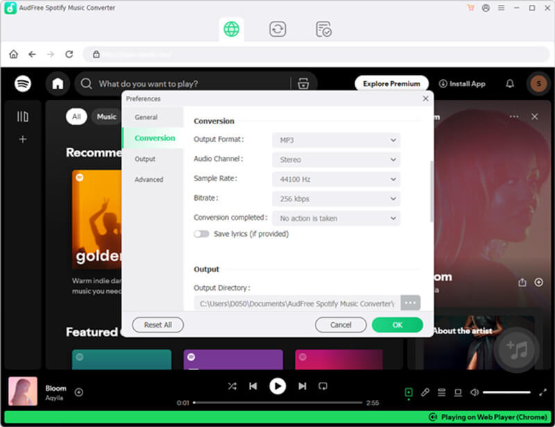 Audfree Output Settings