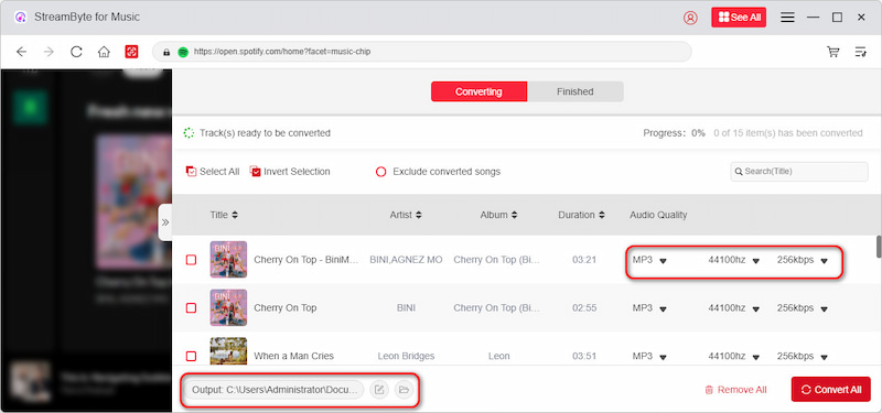 Set Output Parameters