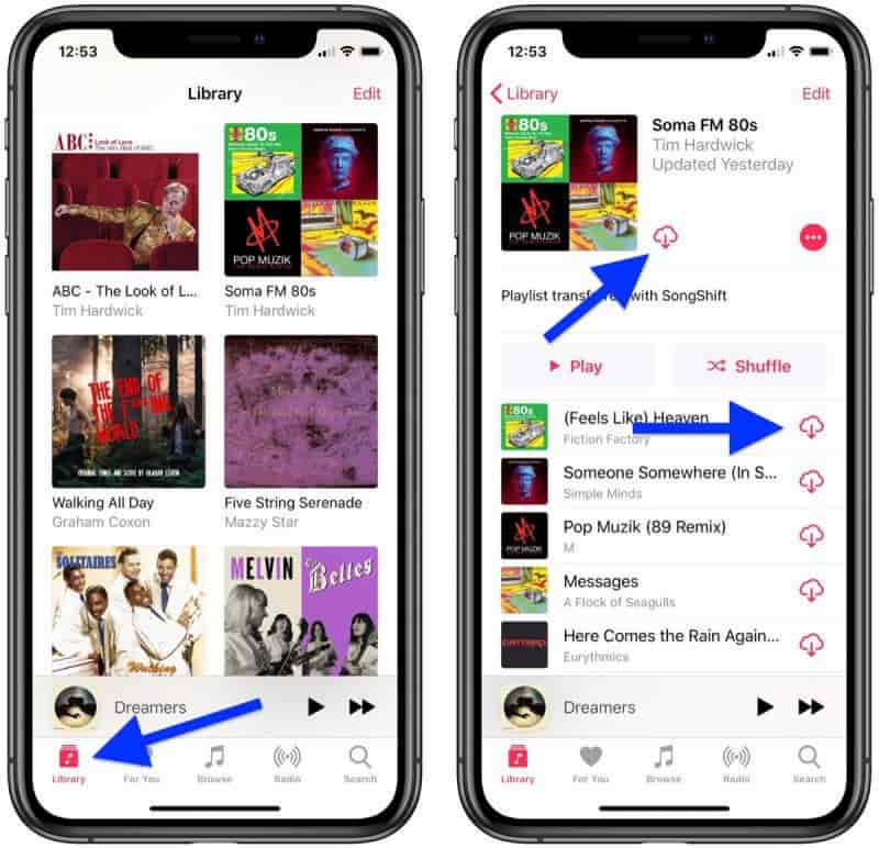 Download Songs Offline Playback Apple Music