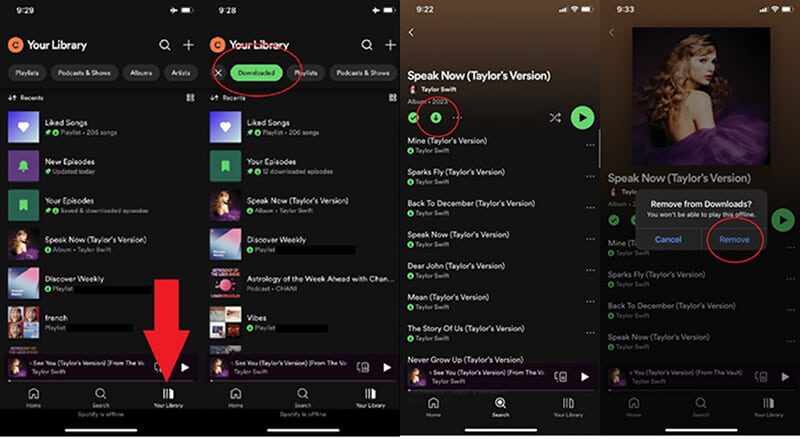 Download Spotify Songs On iPhone