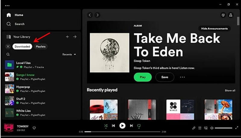 Downloaded Spotify Music