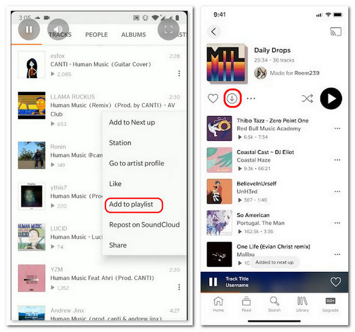 Download Playlist