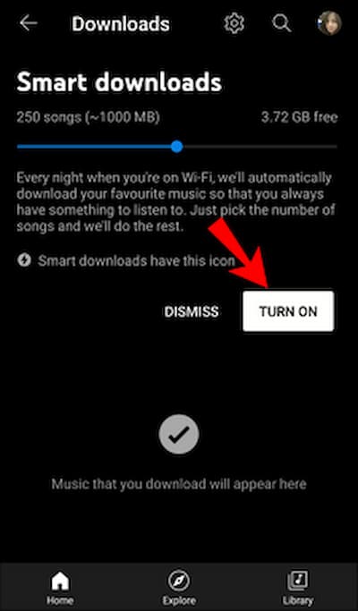 Youtube Music Smart Download