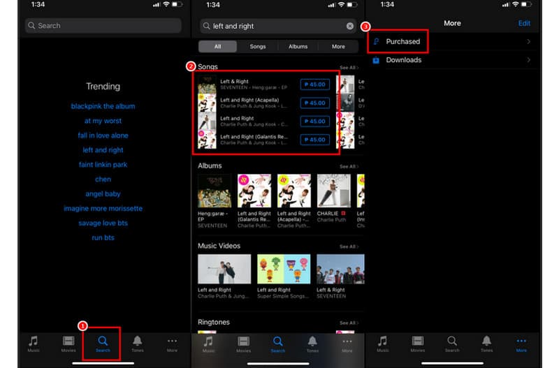 Save-iPhone Music Itunes Store App