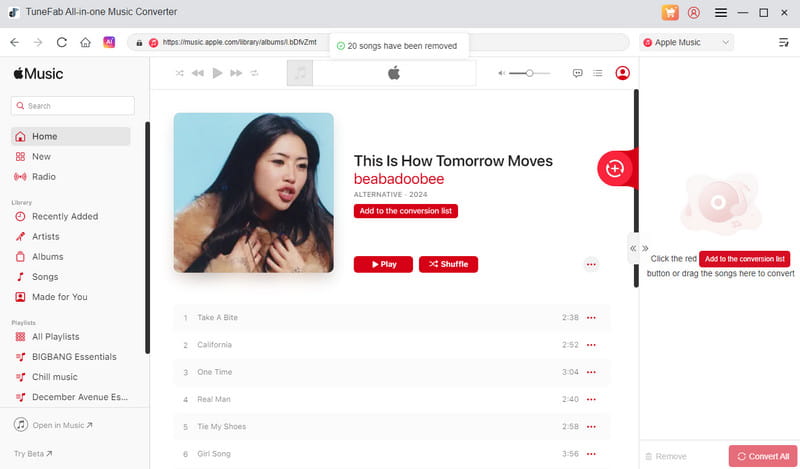what-is-tunefab-apple-music-converter-image