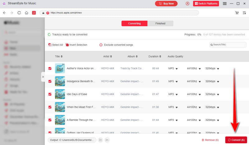 Convert Button Below Streambyte