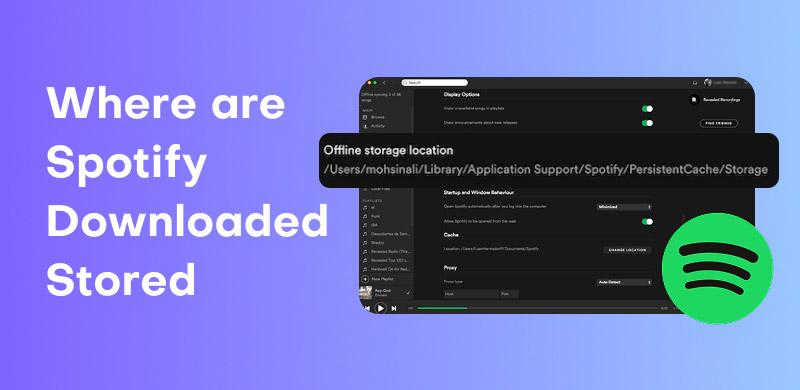 Spotify Downloaded Stored