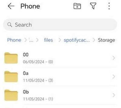 Spotify Downloads Folder