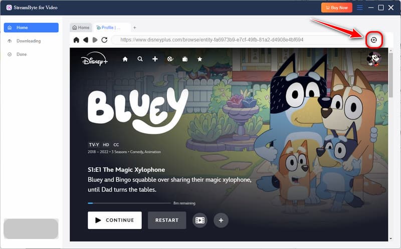 Disney Plus Add Video