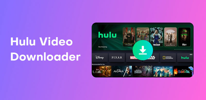 Hulu Video Downloader